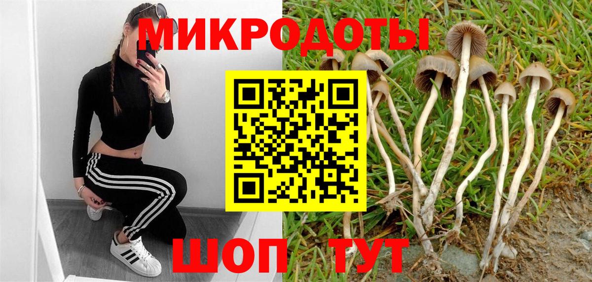 Псилоцибиновые грибы мицелий Реутов
