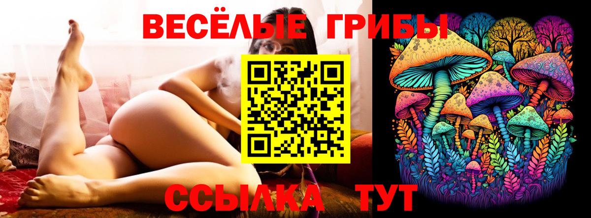 Реутов  Галлюциногенные грибы мицелий  Вход с VPN 